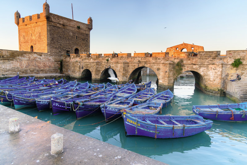 Doi Inthanon National Park Eco-Friendly Tour